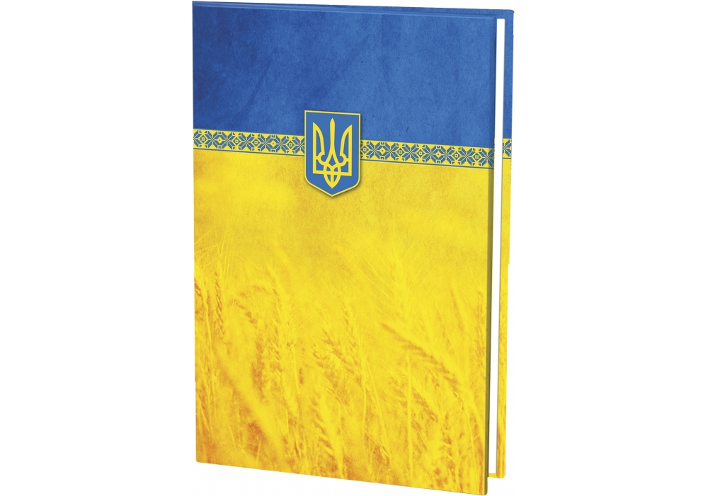 Папка До підпису ECONOMIX А4 жовто-блакитна E30901-05