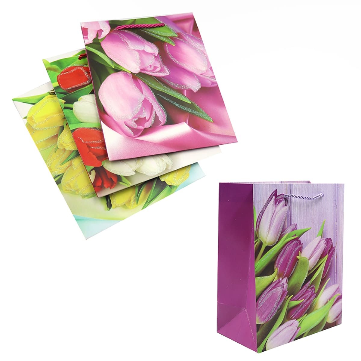 Пакет подарунковий картонний 210г подарунковий 23х18х10см FLOWERS mix4 2981DSCN