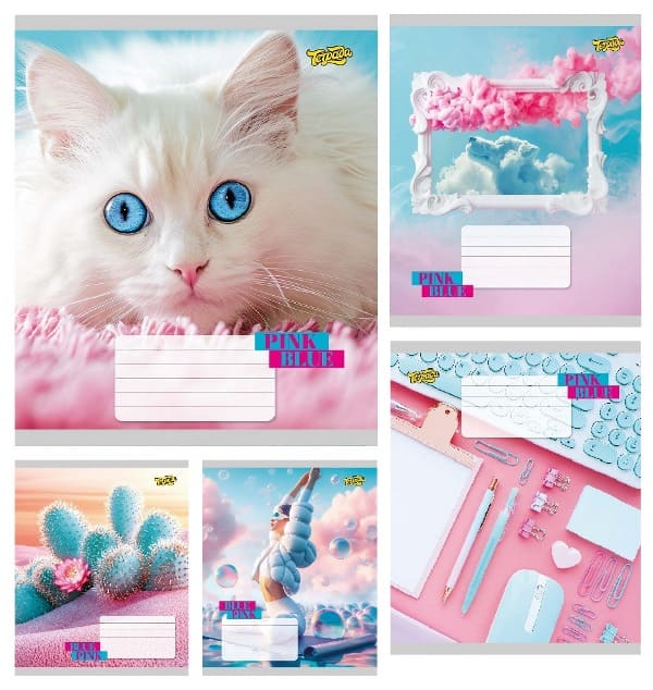 Зошит ТЕТРАДА 48арк в клітинку BluePink 61513