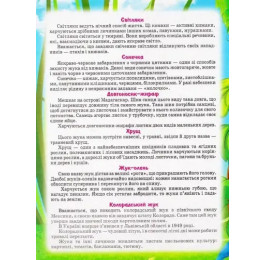 Книжка-пазл Септіма А4 Комахи