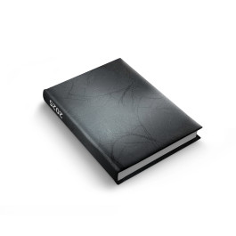 Ежедневник датированный Лист Light 2025 Черный А5 1В3200