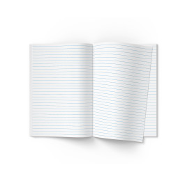 Книга учета Аркуш А4 48лист Boston 1В1876