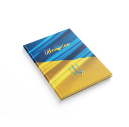 Книга обліку Аркуш А4 96арк Україна 1В2998