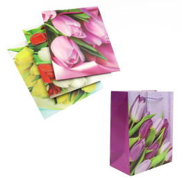 Пакет подарунковий картонний 210г подарунковий 23х18х10см FLOWERS mix4 2981DSCN