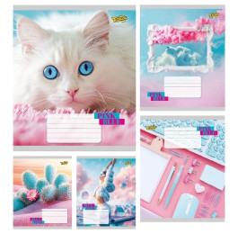 Зошит ТЕТРАДА 48арк в клітинку BluePink 61513