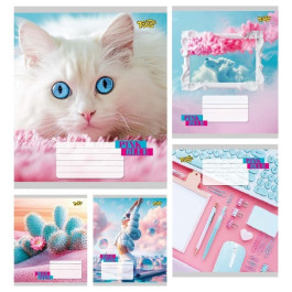 Зошит ТЕТРАДА 48арк в клітинку BluePink 61513