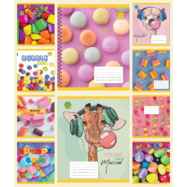 Зошит ТЕТРАДА Фемілі Лайн Ароматний 48арк в клітинку BUBBLE GUM 13416